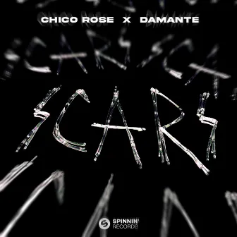 SCARS by Chico Rose