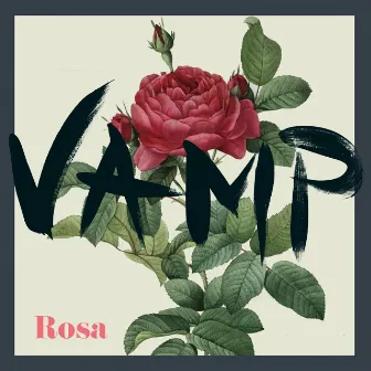 Rosa by Vamp