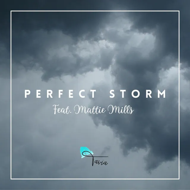 Perfect Storm