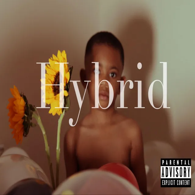 Hybrid