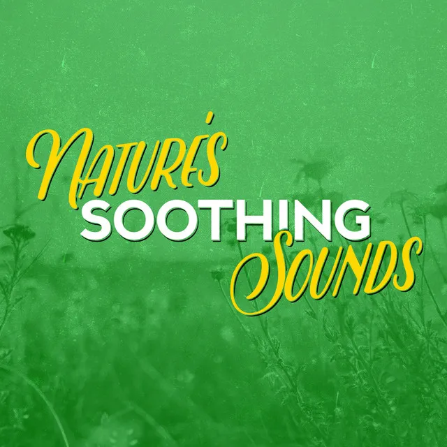 Nature's Soothing Sounds