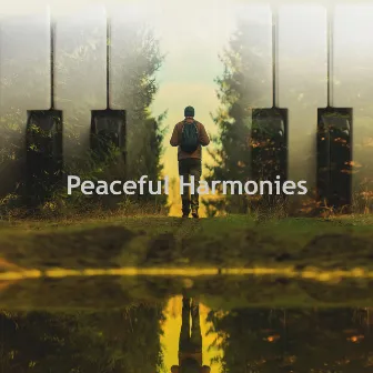 Peaceful Harmonies by Piano Covers Club Delight