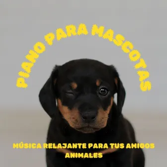 Piano Para Mascotas: Música Relajante Para Tus Amigos Animales by Lista de reproducción de café vintage