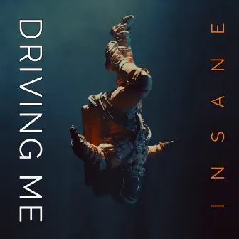 Driving Me Insane by S & L