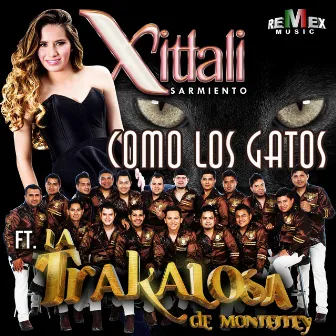 Como los Gatos (feat. Edwin Luna y La Trakalosa de Monterrey) by Xitlali Sarmiento