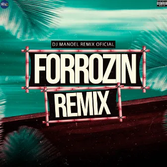 Forrozin Remix by DJ Manoel Remix Oficial