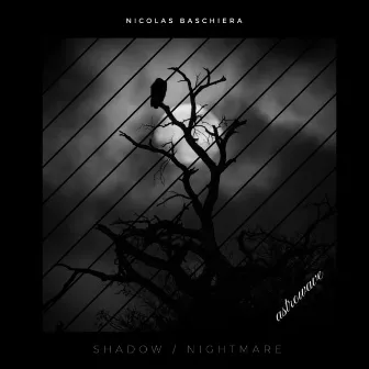 Shadow/Nightmare by Nicolas Baschiera