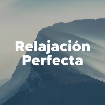 Relajación Perfecta - Una Collección de los Mejores Sonidos de la Naturaleza y Canciones Relajantes by Wellness N Wellness