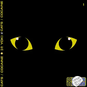 Cats / Cocaine by Yoki