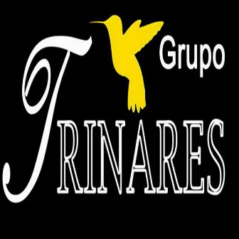 Nada Es Igual by Grupo Trinares