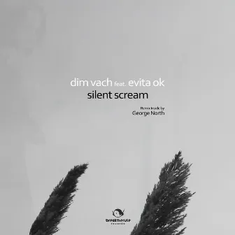 Silent Scream - Single by Dim Vach