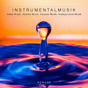 Instrumentalmusik (Indisk Musik, Asiatisk Musik, Helande Musik, Avslappnande Musik) by Unknown Artist