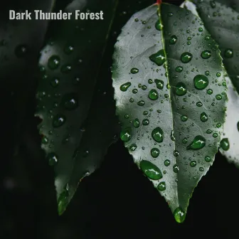 Dark Thunder 2 by Dark Thunder Forest