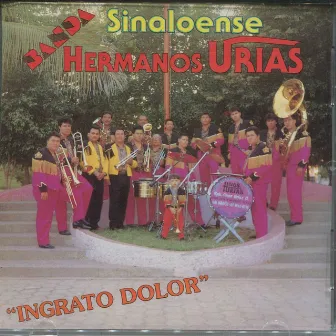 Ingrato Dolor by Banda Hermanos Urias