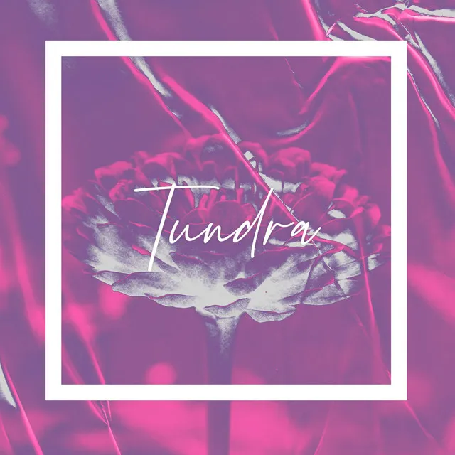 Tundra