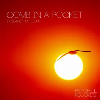 In Search of Light by Comb In A Pocket