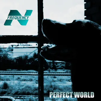 Perfect World by N-Frequency