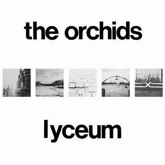 Lyceum by The Orchids