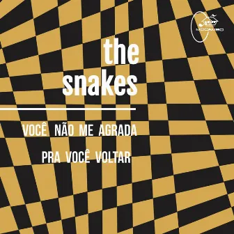 Você Não Me Agrada / Pra Você Voltar by The Snakes