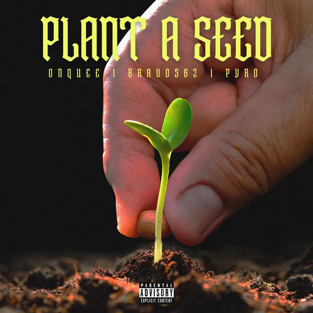 PLANT A SEED