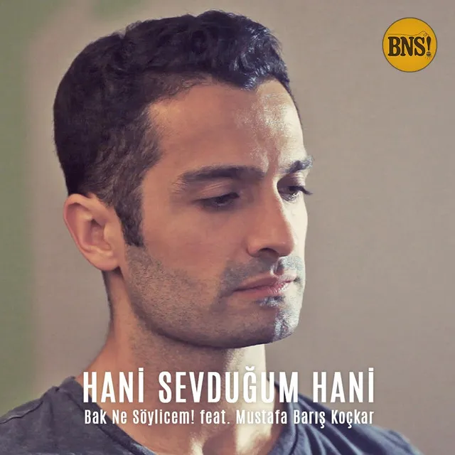 Hani Sevduğum Hani