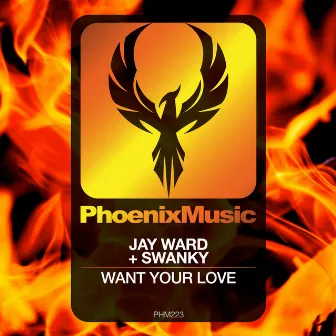 Want Your Love by Swanky