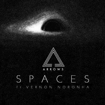 Spaces by Arrows