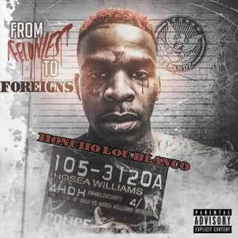 From Felonies to Foreigns by Honcho.lou.blanco