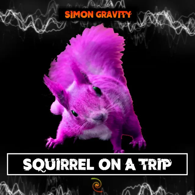 Squirrel On A Trip