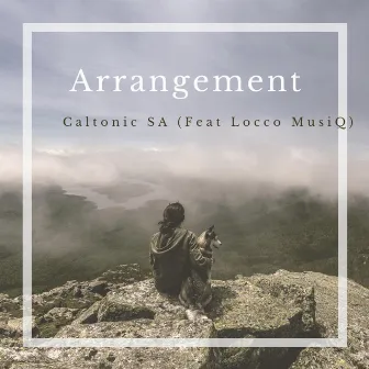 Arrangement by Caltonic SA