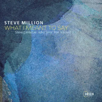 What I Meant to Say by Steve Million