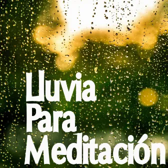 Lluvia Para Meditación: Compilación De Sonidos De Lluvia Para Conciliar El Sueño, Sonidos De Lluvia Para El Insomnio, La Concentración, El Estudio, El Zen Y La Meditación by Unknown Artist