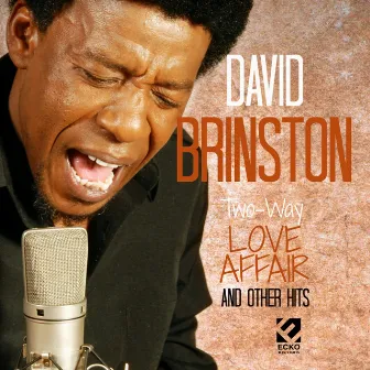 Two Way Love Affair by David Brinston