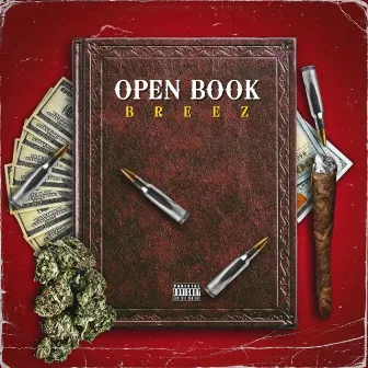 Open Book by Loon3 Aka Breez