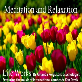 Life Works Meditation and Relaxation by Amanda Ferguson