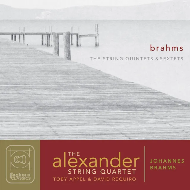 String Sextet No. 1 in B-Flat Major, Op. 18: I. Allegro ma non troppo