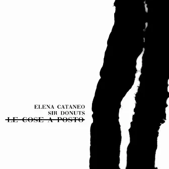 Le Cose A Posto by Elena Cataneo