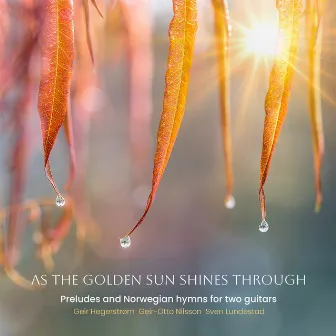 As the golden sun shines through by Geir-Otto Nilsson