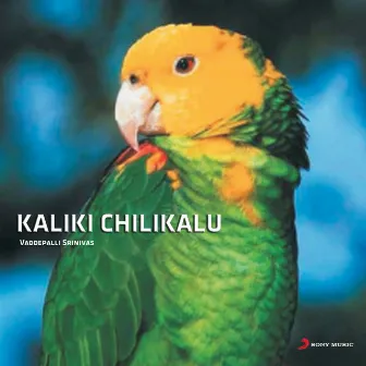 Kaliki Chilukalu by Vaddepalli Srinivas