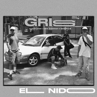 Gris by El Nido