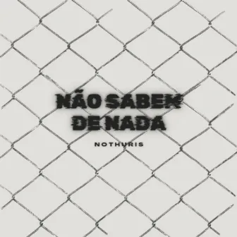 Não sabem de nada by Nothuris