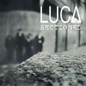 Sectioned by Luca