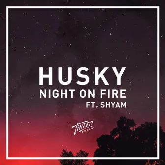 Night on Fire (feat. Shyam) by Shyam