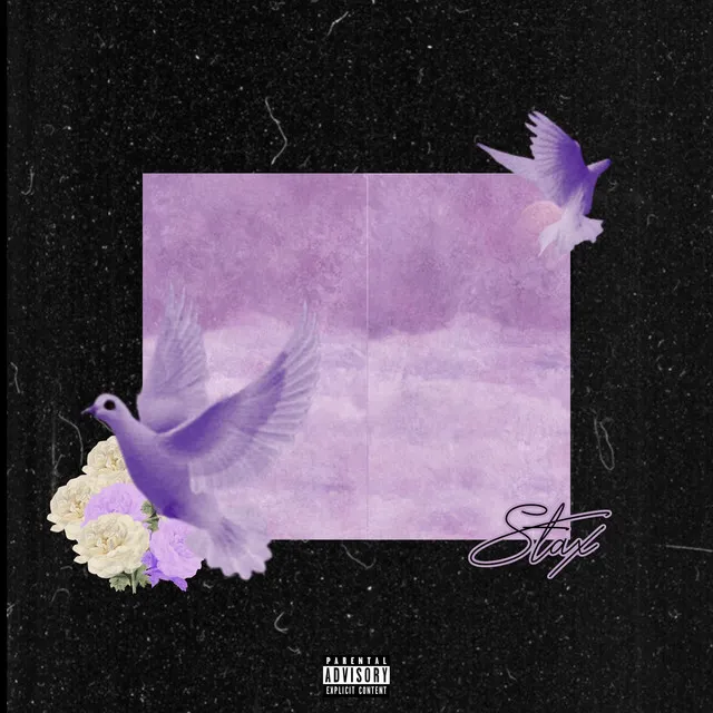 Purple Dove