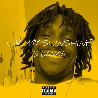 Ur My Sunshine by B. Banks