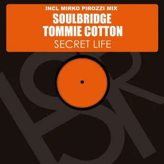 Secret Life by Tommie Cotton