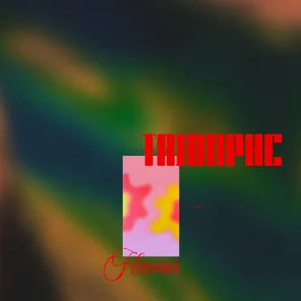 Flavour by Triomphe