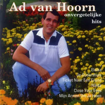 Onvergetelijke Hits by Ad Van Hoorn