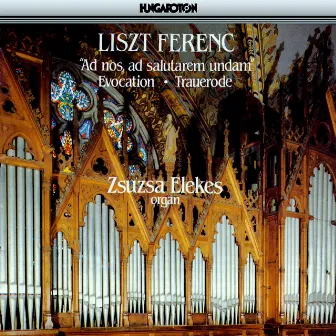 Liszt: Fantasia Und Fuge / Evocation A La Chapelle Sixtine / Les Morts / Nun Danket Alle Gott by Zsuzsa Elekes