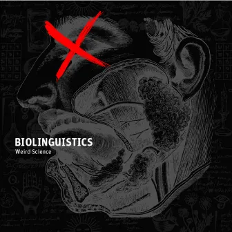 Biolinguistics by Weird Science